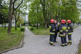 Tarnów. Alarm bombowy w ZSME [ZDJĘCIA]            