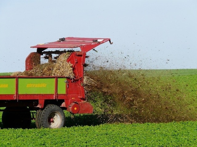 Nadchodzi rewolucja w biologizacji gleb? Chodzi o... "owadzi nawóz". Eksperci: "Plony są bardziej obfite"