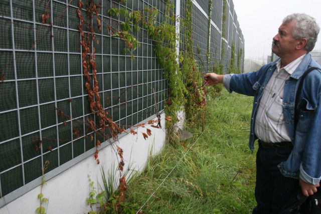 W rejonie domu uratowałem kilka pędów - mówi Józef Zasański