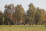 Ponad 600 podpisów w sprawie parku u źródeł Olechówki trafiło do prezydent Łodzi [ZDJĘCIA]