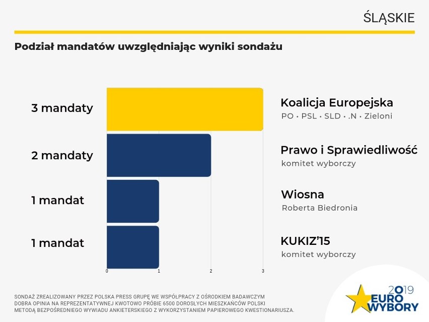 Wybory do Europarlamentu 2019: PiS wygrywa w Polsce. W woj. śląskim górą Koalicja Europejska SONDAŻ 