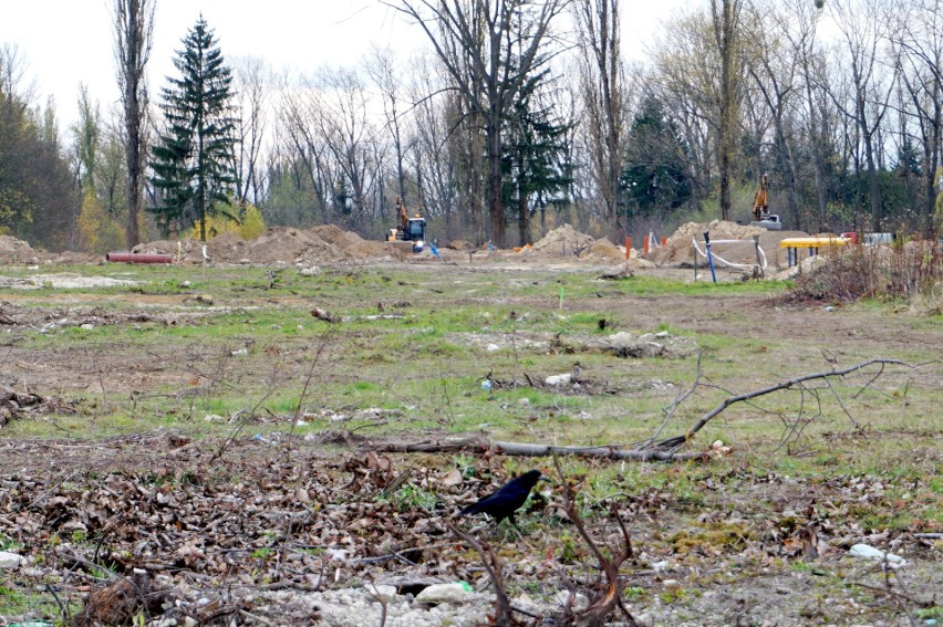 Szpital przy Grenadierów rośnie. Wszystkie przychodnie będą w jednym miejscu