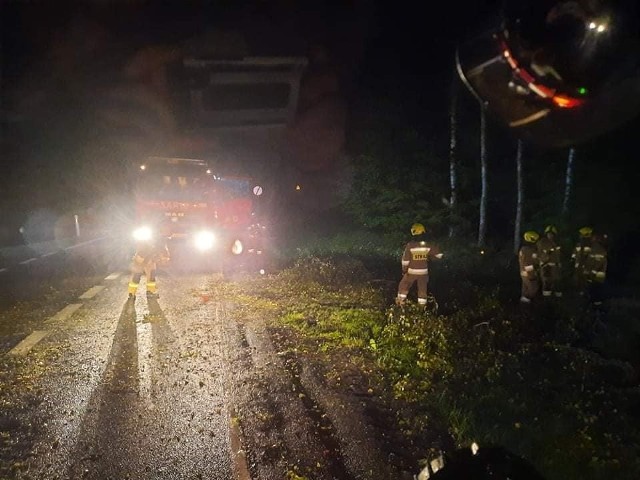 Prawie 30 wyjazdów do powalonych drzew i gałęzi w powiecie bytowskim.