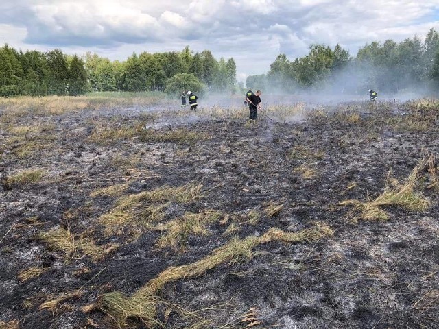 W poniedziałek o godzinie 14.07 strażacy z OSP Sztabin otrzymali informację o pożarze łąk w miejscowości Polkowo. Łącznie paliło się około półtora hektara.