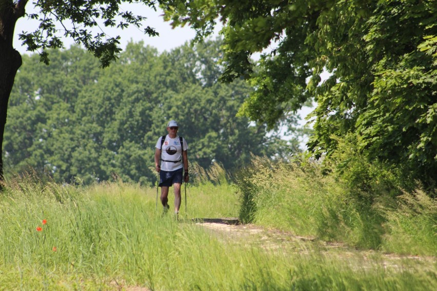 Pielgrzymka pasjonatów nordic walking na Górę św. Anny już 5 czerwca