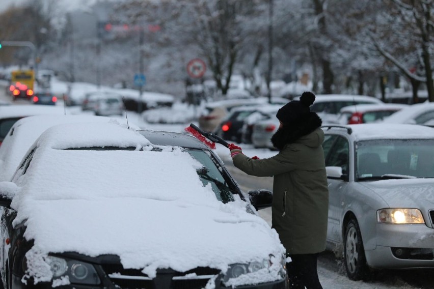 Pogoda na listopad 2019 będzie chłodna i deszczowa? Sprawdź...