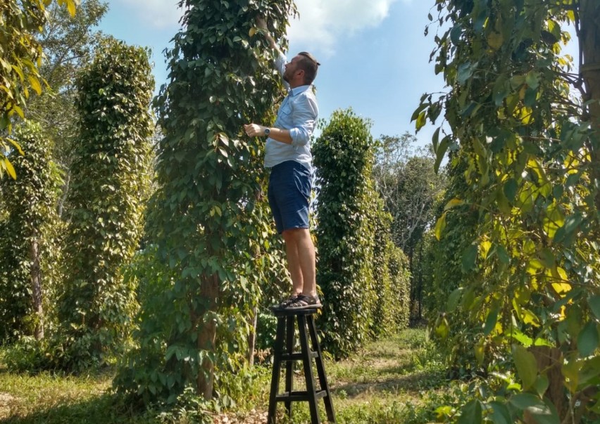 Jędrzej Majka na plantacji pieprzu; Wietnam