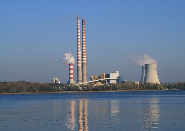 Na razie elektociepłownia na biomasę w Szczecinku jest w sferze marzeń