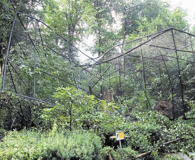 W krakowskim zoo zniszczona została woliera dla ptaków