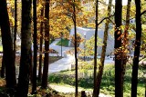 Kolory jesieni opanowały Starachowice. Zobacz gdzie pójść na złoty polski spacer (ZDJĘCIA) 