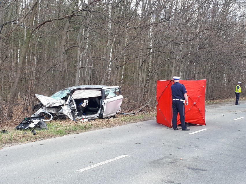 Wypadek na ul. Sianokosy. Samochód uderzył w drzewo! Jedna osoba nie żyje ZDJĘCIA