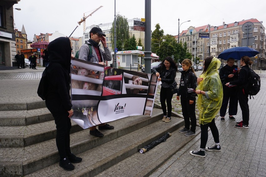 Poznań: Protest obrońców praw zwierząt