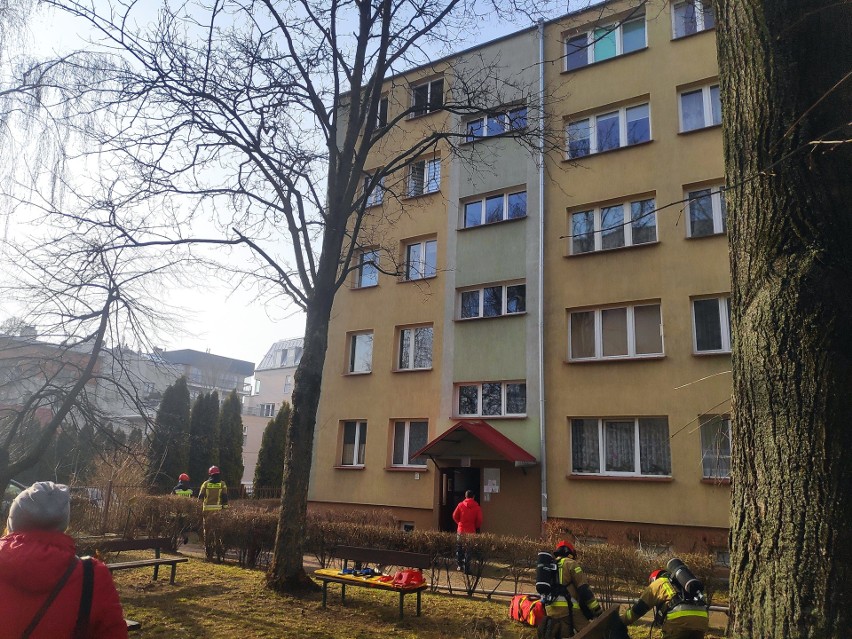 Białystok. Pożar mieszkania na osiedlu Mickiewicza. Doszło do wybuchu. Poszkodowana jedna osoba i pies. Siedem zastępów na miejscu [ZDJĘCIA]