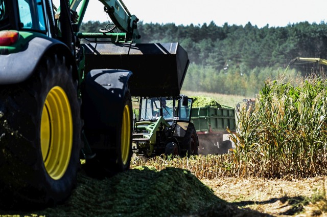 Aż 12,6 proc. wypadków w rolnictwie to pochwycenia i uderzenia przez ruchome części maszyn.