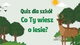 Quiz wiedzy dla szkół w powiecie drawskim „Co Ty wiesz o lesie” i debata poświęcona żubrom i rysiom