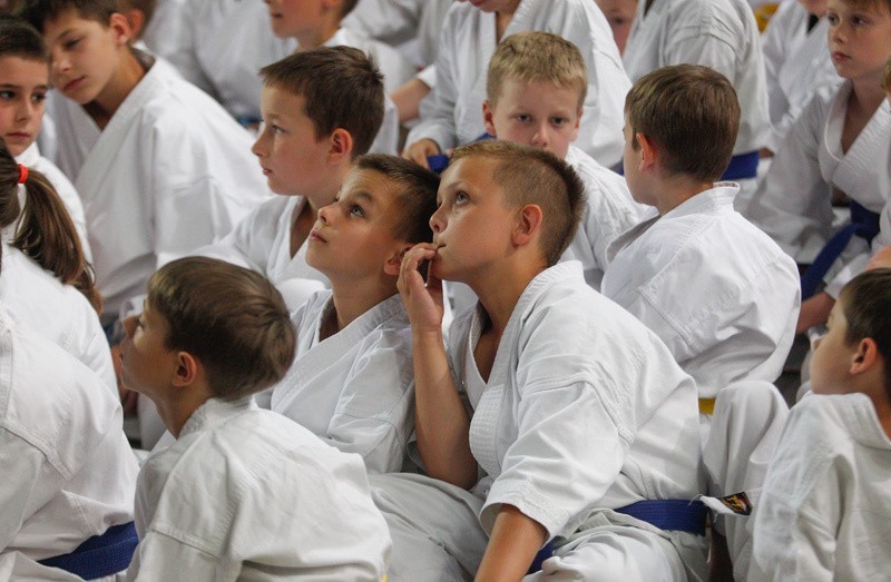 XV Puchar Dzieci w Karate Tradycyjnym w Rzeszowie.