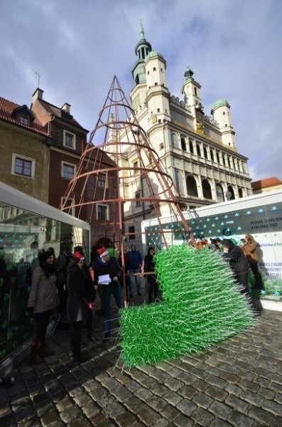 Zielone, ośmiometrowe drzewko jak co roku stanie na Starym Rynku. Tylko trochę inne. Prezydent miasta Ryszard Grobelny wraz z fundacją Allegro All For Planet rozpoczęli budowę EKOchoinki.