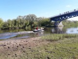 Łomża. Poszukiwania zaginionych mężczyzn w rzece Narew. Jeden skoczył z mostu Hubala. Drugi poszedł go ratować (zdjęcia)