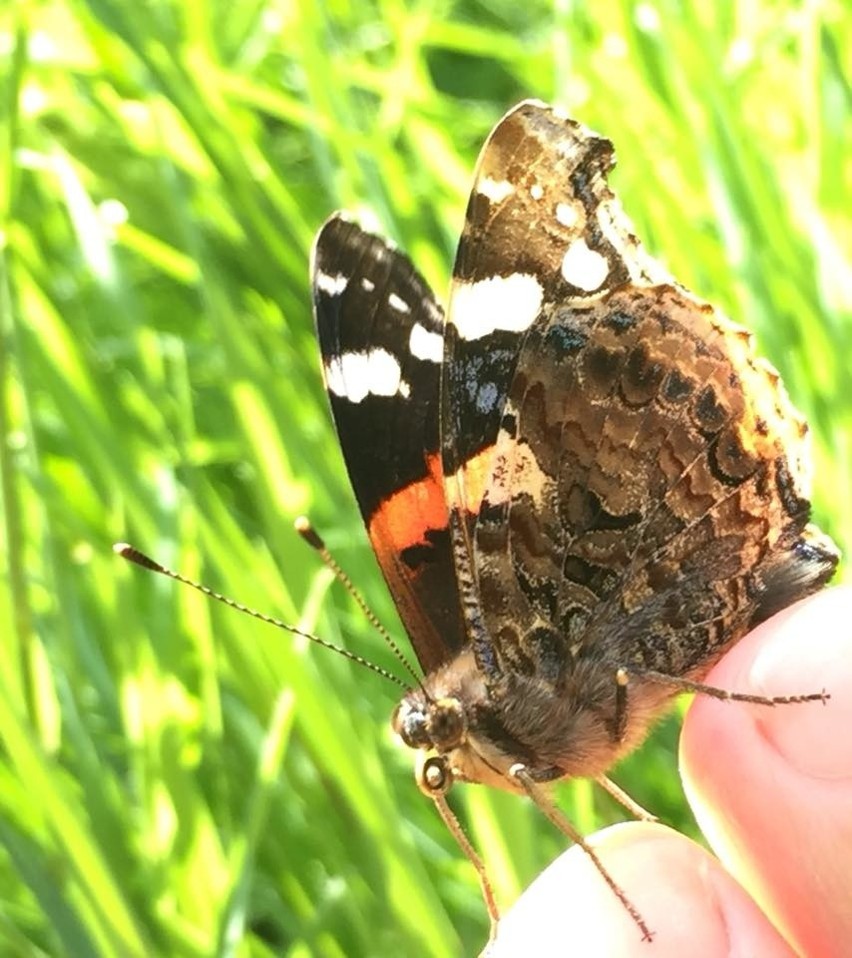 Światowy Dzień Fotografii - oto zdjęcia, z które zrobili nasi czytelnicy i są z nich dumni [ZDJĘCIA] 