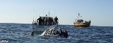 Bałtyk. Wznowiono poszukiwania zaginionej kobiety oraz łodzi, która zatonęła w okolicach Darłowa (zobacz zdjęcia tonącej łodzi!)