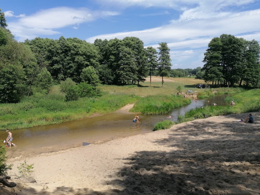 Piaskowa Góra nad Grabią - dzikie kąpielisko, ale popularne ZDJĘCIA