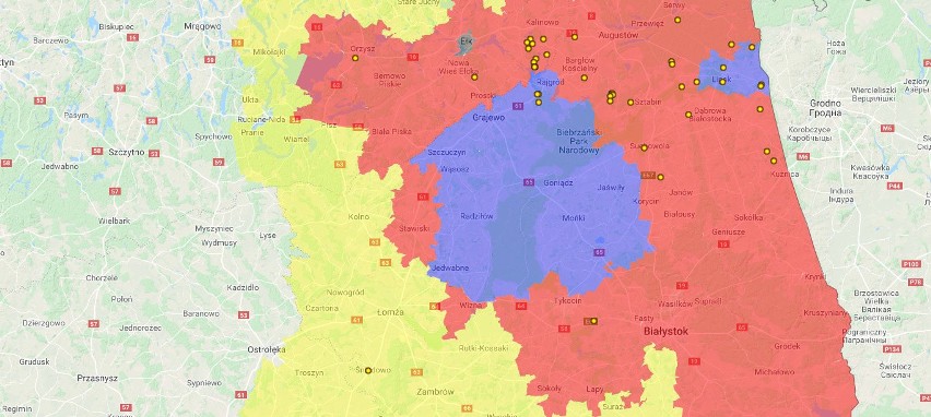 Wirus ASF w Polsce. Mapa wykrytych przypadków zachorowań na...