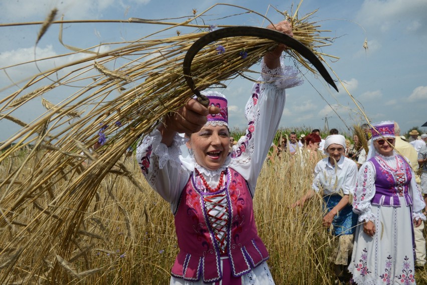 Ruszył powszechny spis rolny. Kogo obowiązuje, ile potrwa? 