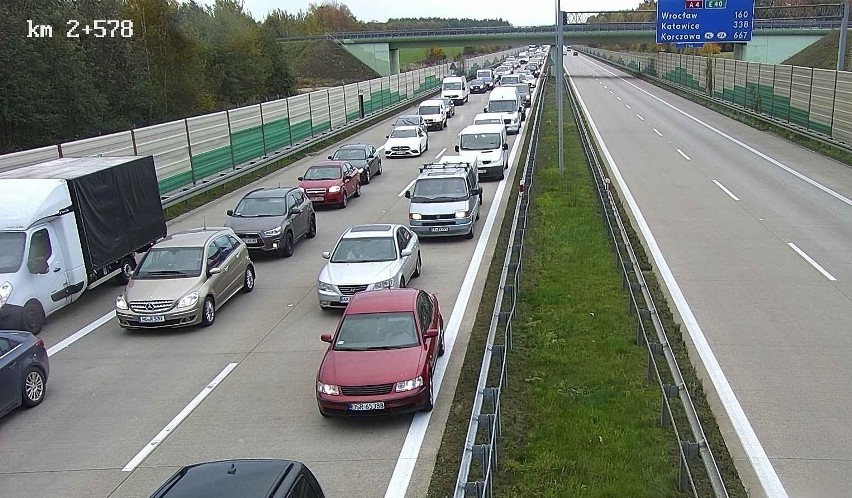 Kierowcy stoją w korku przed wjazdem do Niemiec.
