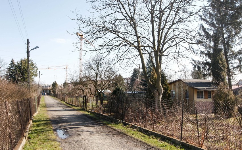 Kurczą się powierzchnie ogródków działkowych we Wrocławiu. W...