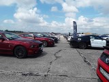 Finał Mustang Race 2018 w Szczecinie. W sobotę 50 super aut przejedzie ulicami miasta 