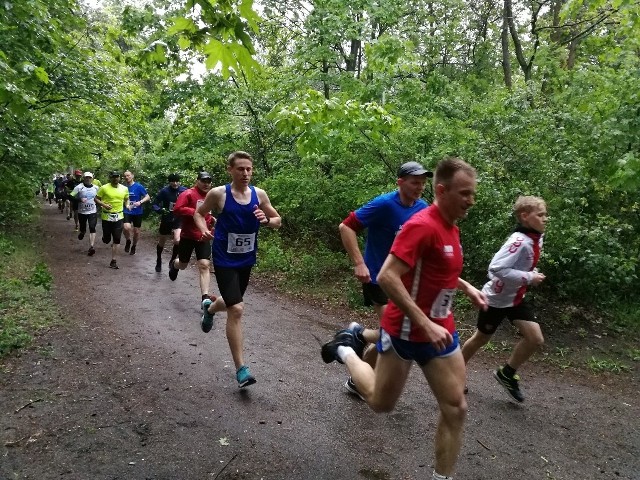 Grand Prix Torunia w biegach przełajowych - III edycja. W lasku bielańskim w Toruniu nie zabrakło chętnych do startu na dystansie 6000 metrów, choć tym razem pogoda nie dopisała. Wcześniej rywalizowały dzieci w kilku kategoriach wiekowych. Zobaczcie zdjęcia.