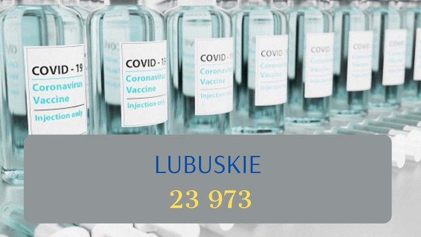 Ponad milion Polaków zaszczepionych przeciw COVID-19. Gdzie zaszczepiono najwięcej osób? [nowe dane]