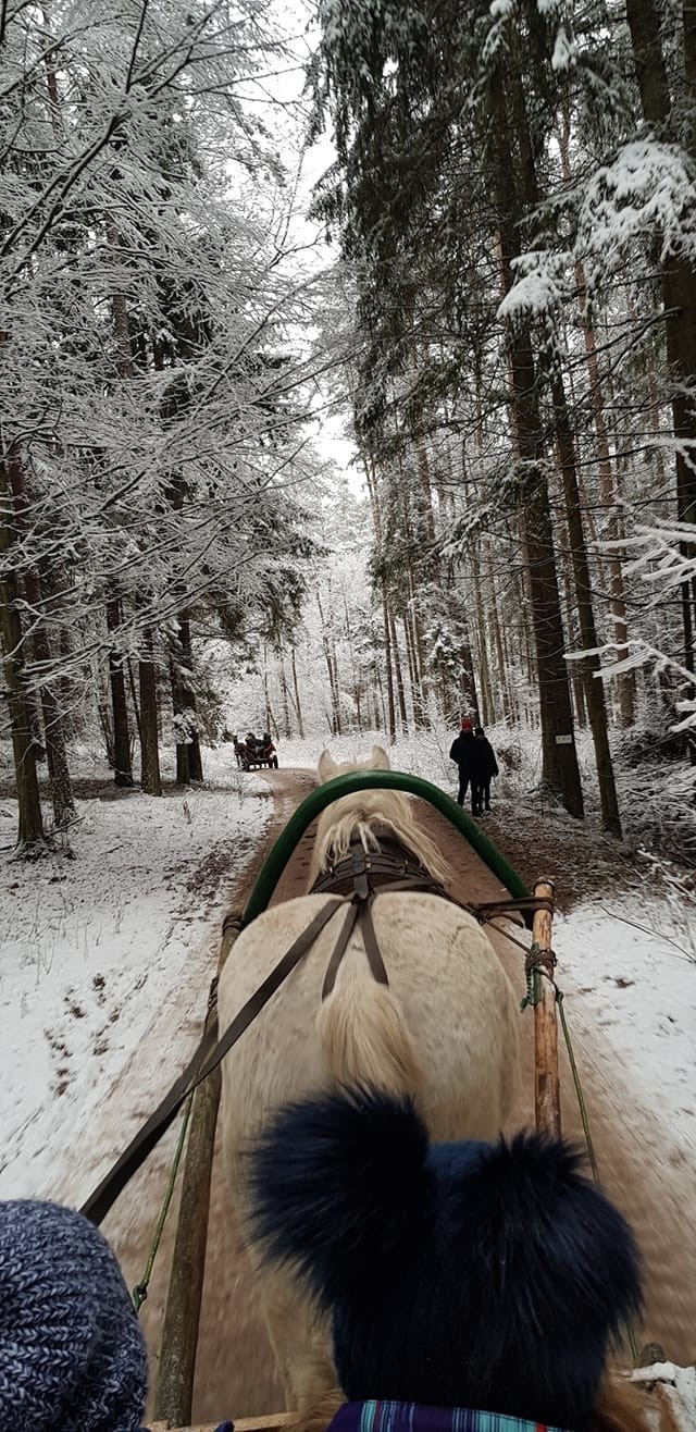 Zaśnieżone pola i lasy, piękne krajobrazy nad wodą, spacery...