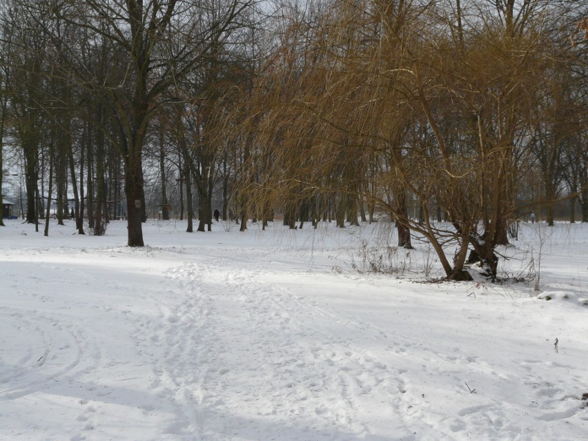 Pabianice. Zimowe krajobrazy na Lewitynie ZDJĘCIA