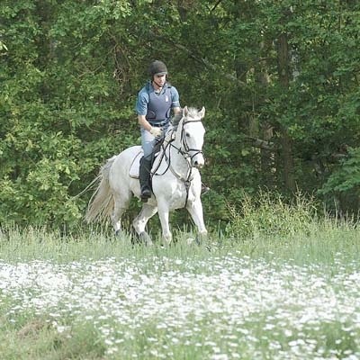 Jeździec na koniu to dla wielu interesujący widok. Ale leśników często przyprawia o ból głowy. Jeśli nie będzie wyznaczonych szlaków, konie nadal będą niszczyć leśne ścieżki.