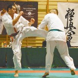 Karate Kyokushin: Już po raz siódmy w Opolu obdył się turnieju Challenger