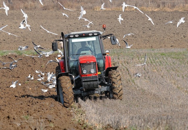 Średnia wysokość czynszu dzierżawnego dla gruntów wydzierżawionych przez KOWR w pierwszym kwartale 2022 r. wyniosła 12,9 dt pszenicy/ha.