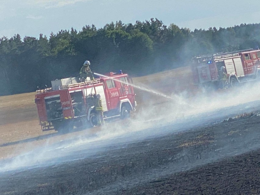 Pożar ścierniska w miejscowości Poganice