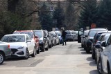 Coraz większy chaos parkingowy we Wrocławiu. Mieszkańcy są sfrustrowani i zgłaszają samochody zostawione gdzie popadnie