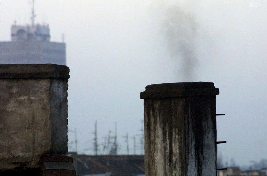 Szczecin. Strażnicy miejscy już zaglądają do naszych pieców. Posypały się pierwsze mandaty