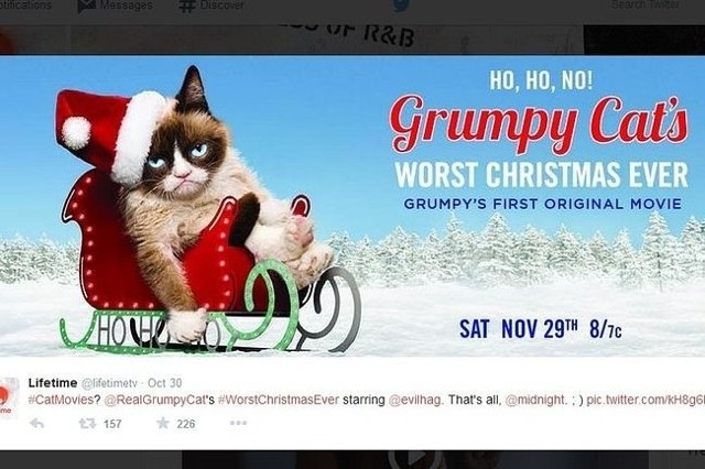 "Grumpy Cat's Worst Christmas Ever" (fot. screen z Twitter.com)