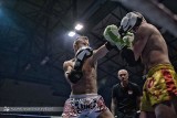 Sukces gali Muay Thai Open Poland w Świebodzicach