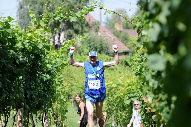 W sobotę odbył się I Maraton Szlakiem Wina i Miodu. Wygrał go Robert Kopcewicz. 42 kilometry pokonał on w czasie 3 godzin, 3 minut i 23 sekund (fot. Mariusz Kapała)