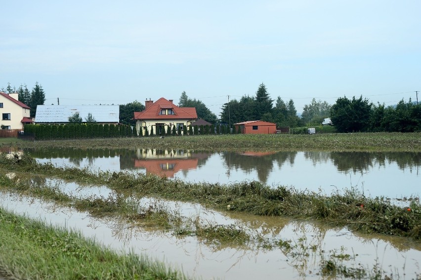 Krajobraz po powodzi w Trzcinicy.