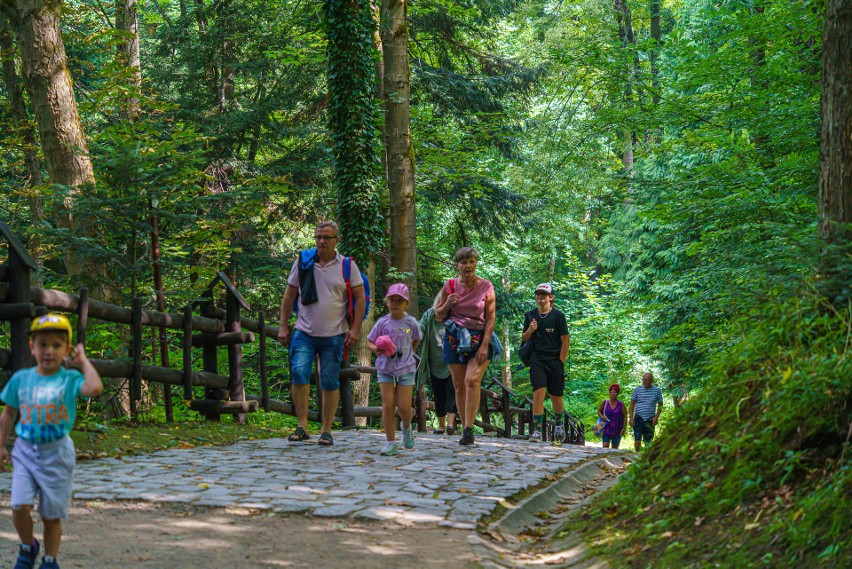 Krynica - Zdrój. Góra Parkowa oblegana przez turystów. To jedno z najpopularniejszych miejsc w sądeckim uzdrowisku [ZDJĘCIA]