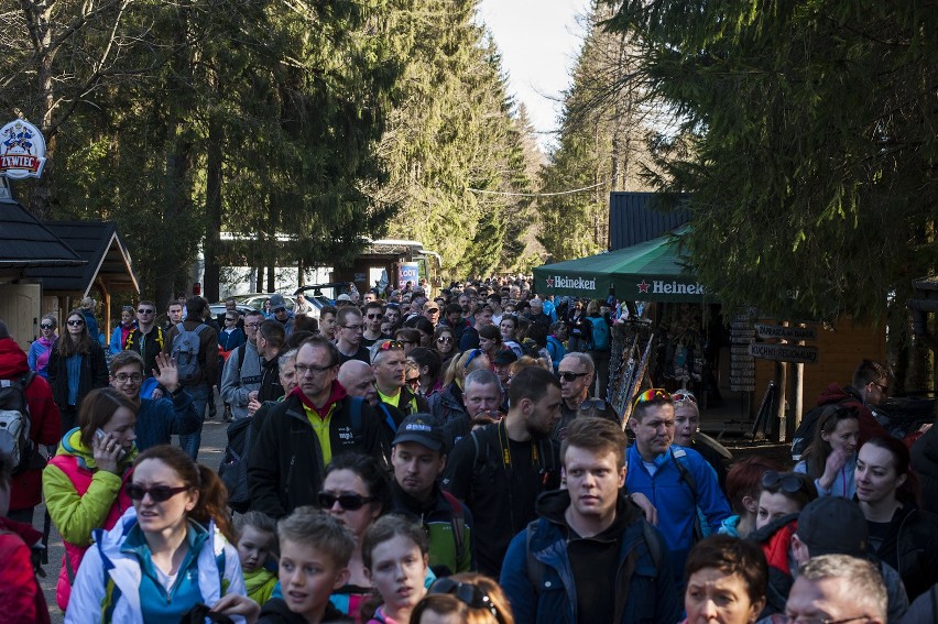 Tłumy w Dolinie Chochołowskiej. Kolejki do kasy nie było końca