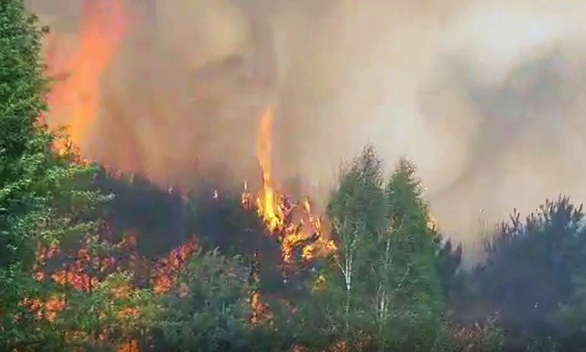 Wielki pożar w gminach Nowe Miasto nad Pilicą i Odrzywół. Spłonęło prawie 100 hektarów lasów, Był nawet Black Hawk. Nowe zdjęcia
