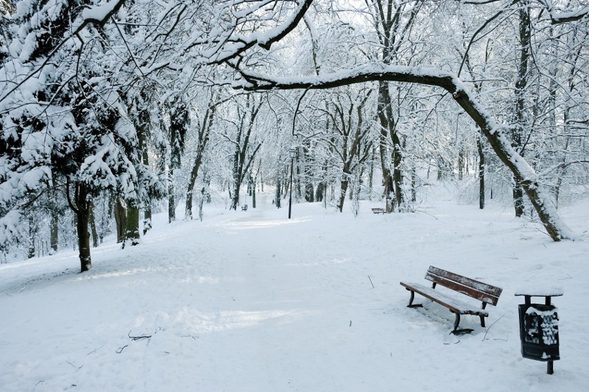 Zima w Parku Miejskim w Przemyślu.
