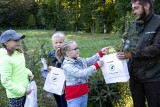 Wielkie narodowe sadzenie drzew. 12 kwietnia wszystkie nadleśnictwa rozdają sadzonki