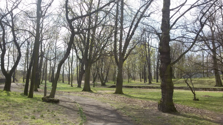 Sosnowiec: Park Dietla to dobre miejsce na świąteczny spacer